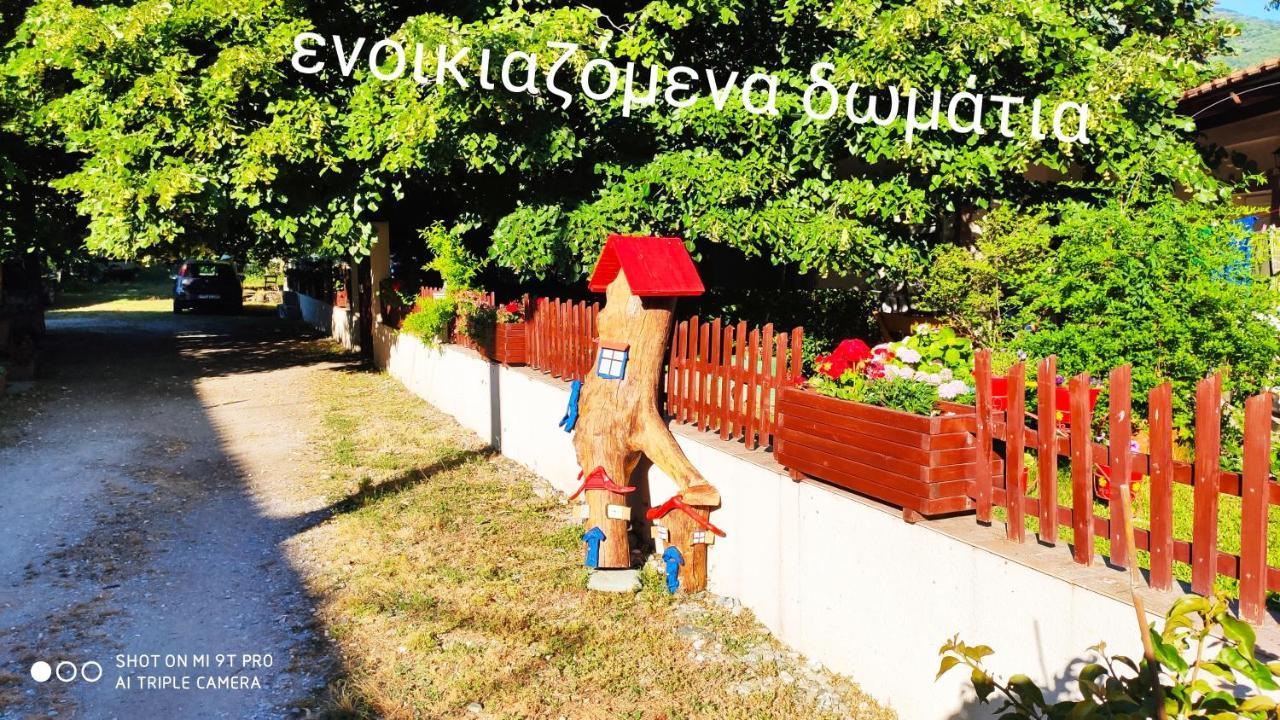 Βίλα Κατερίνα - Villa Katerina Kókkinon Nerón Exterior foto